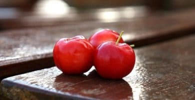 Sonhar com acerola