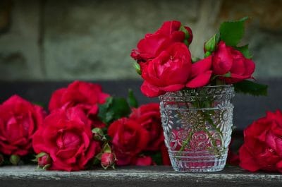 Banho com canela, açúcar e rosas para atrair homens!