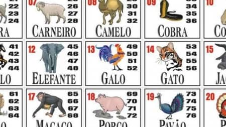 banheiro e o jogo do bicho